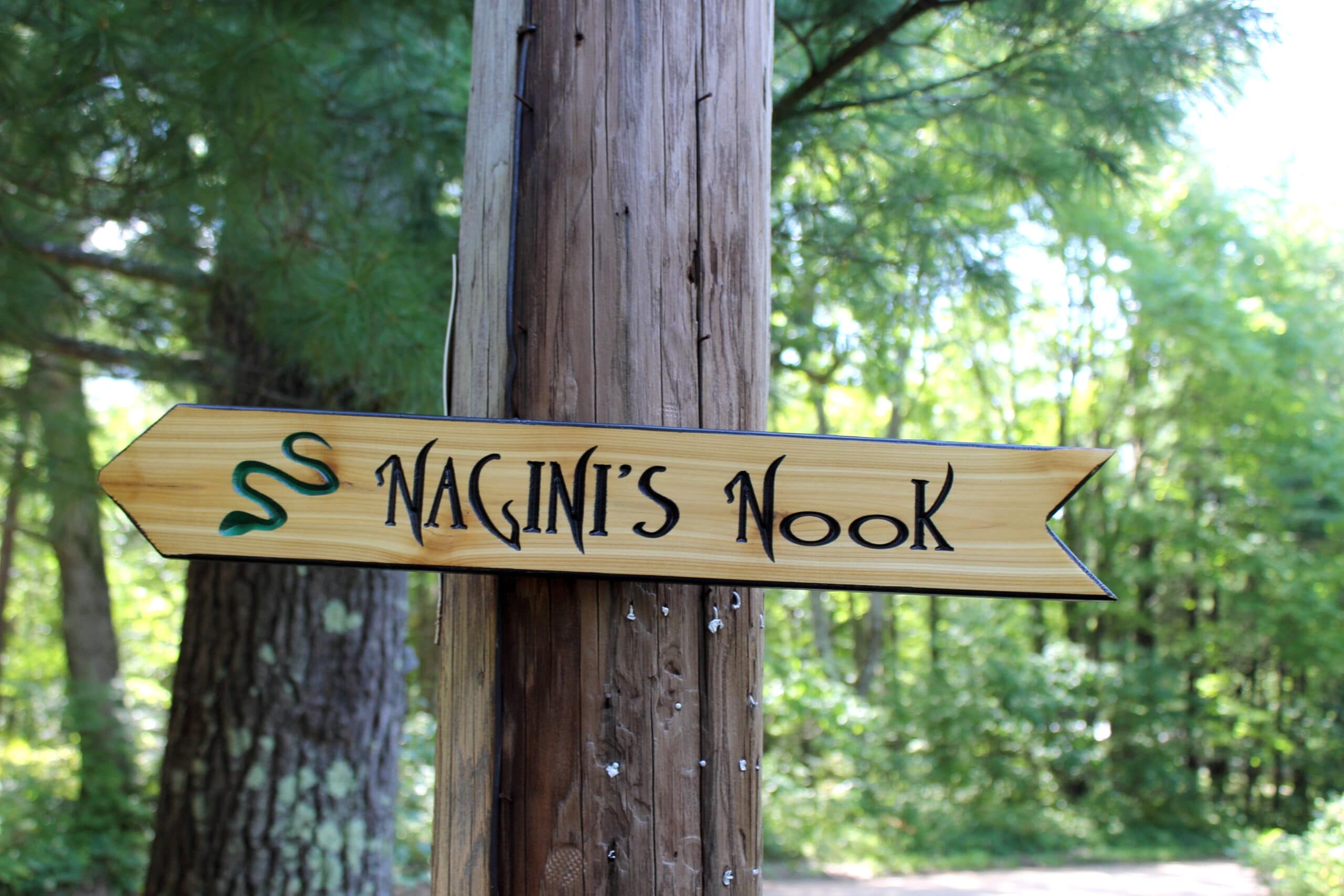 Wooden Arrow Signs - Destination Signs, Singles 3"x23" COLOR - Image 4