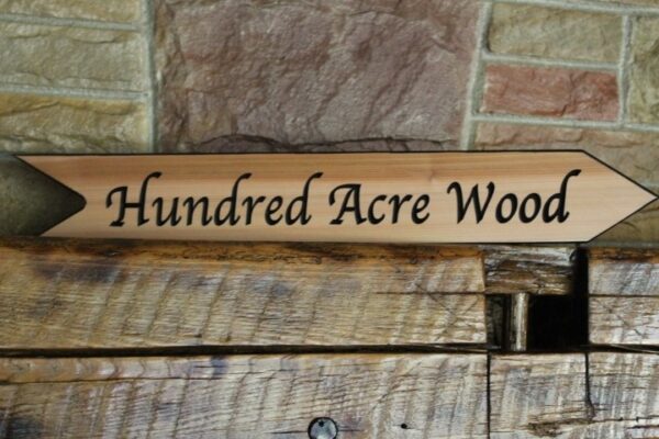 Alternative view of Arrow signs - Fantasy Land Arrows, wooden arrow signs , 10pc set 3x23