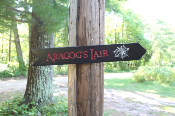 Alternative view of Wooden Arrow Signs - Destination Signs, Singles 3"x23" COLOR