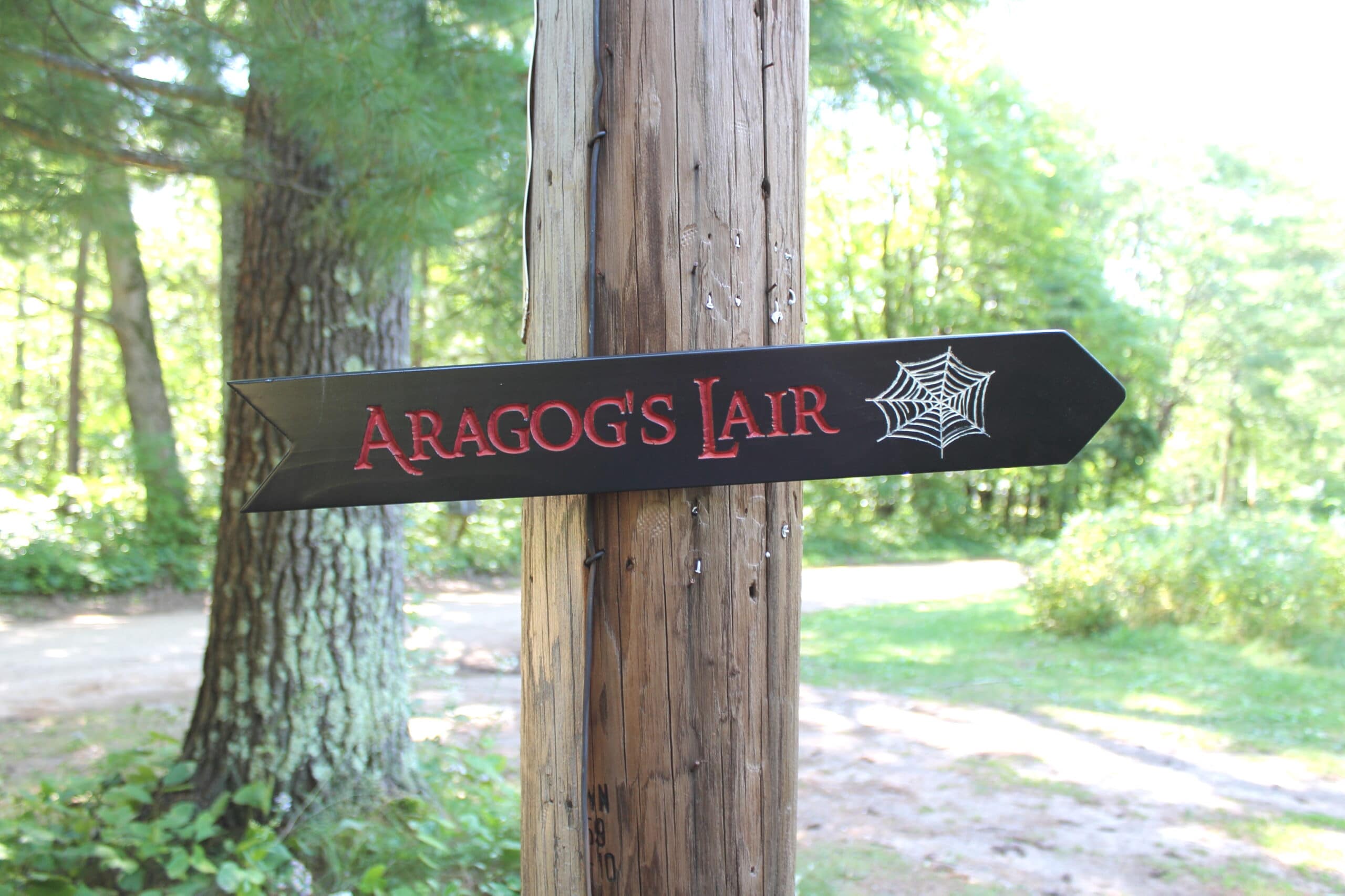 Wooden Arrow Signs - Destination Signs, Singles 3"x23" COLOR - Image 3