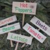 maidenwood signs