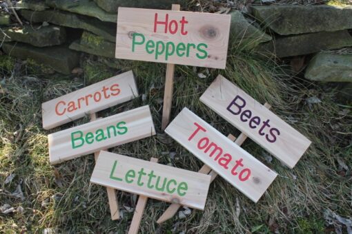 maidenwood signs