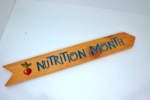 Alternative view of Wooden Arrow Signs - Destination Signs, Singles 3"x23" COLOR